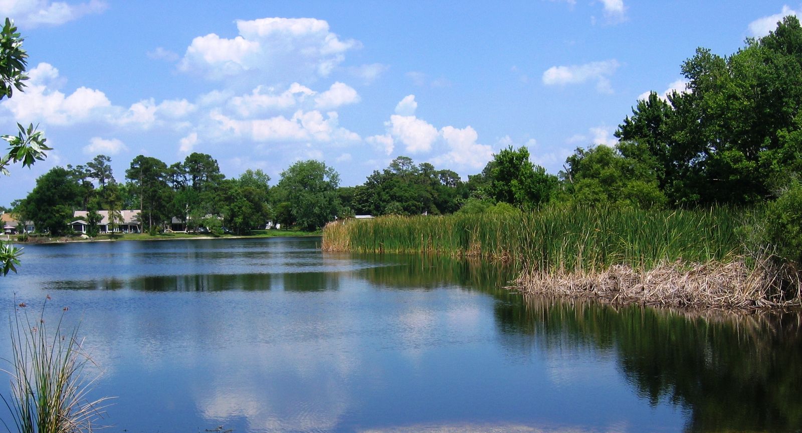 North Triplet Lake desde Secret Lake Park en Casselberry, Florida
