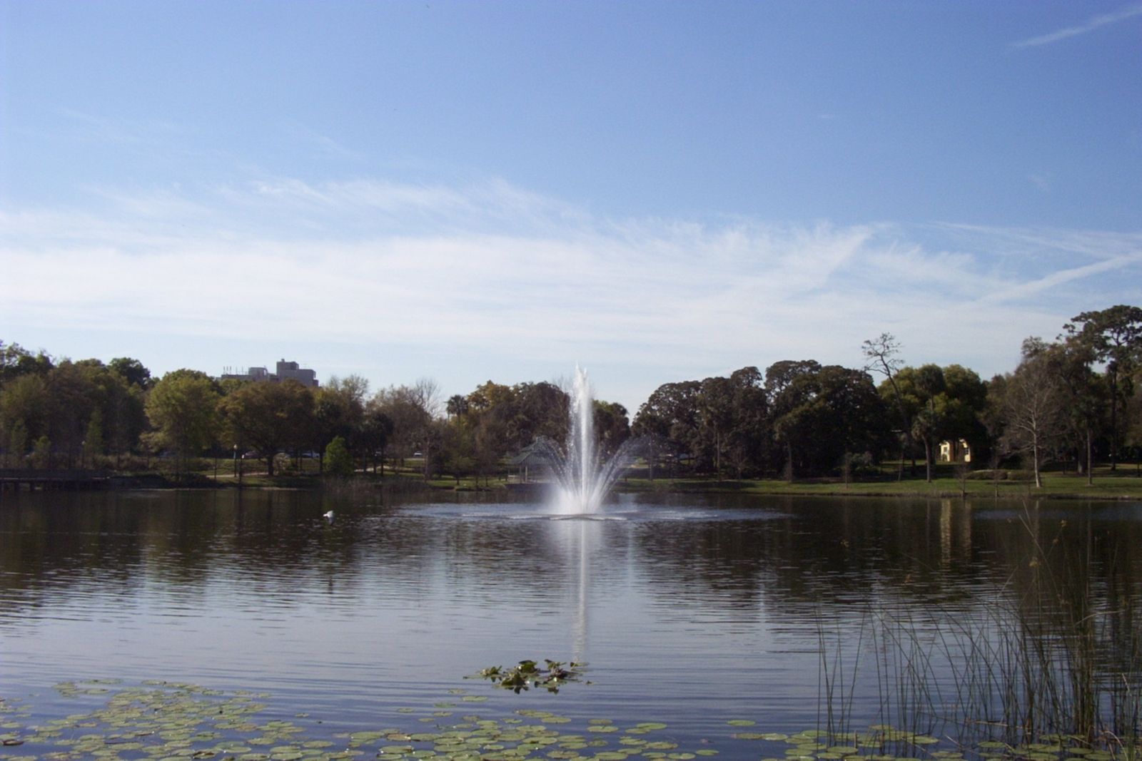Lake Lily y su fuente en Maitland, Florida